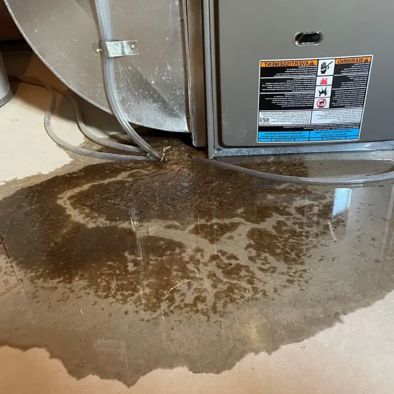 Pipe Burst and Leak Restoration in Rio Arriba County, NM